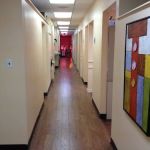 Allied Orthodontics PA