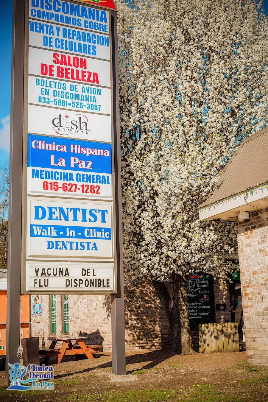 Clinica Dental La Paz 10