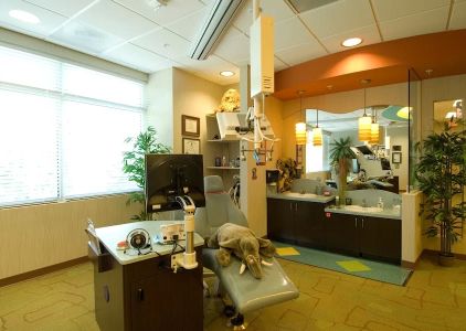 Cary Pediatric Dentistry