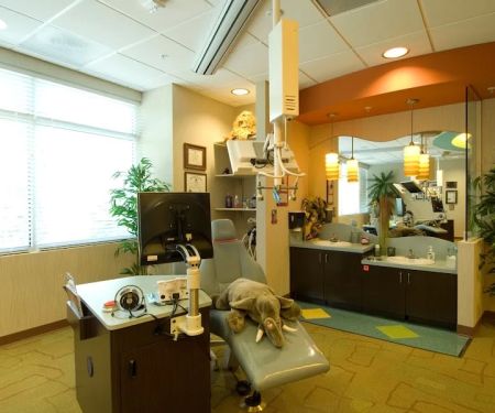 Cary Pediatric Dentistry