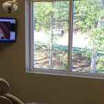 Darren G. Koch, DDS, PA