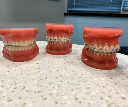 Gladwell Orthodontics
