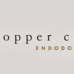 Copper Creek Endodontics, Curtis J Brimley DMD MBA MS