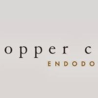 Copper Creek Endodontics, Curtis J Brimley DMD MBA MS ico
