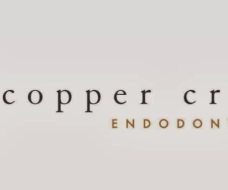 Copper Creek Endodontics, Curtis J Brimley DMD MBA MS