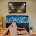 Prairie Rose Family Dentists