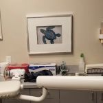 Nelson Pediatric Dentistry & Orthodontics