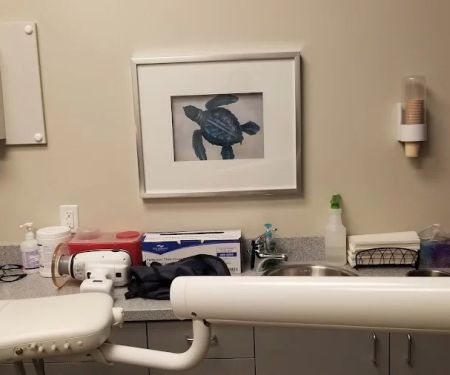 Nelson Pediatric Dentistry & Orthodontics