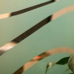 Donald Marks Family Dentistry