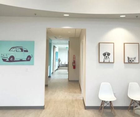 Progress Ridge Orthodontics Beaverton