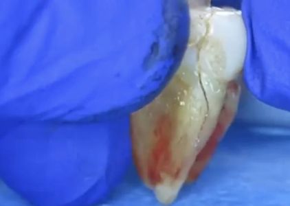 Dr. Jone Kim DDS