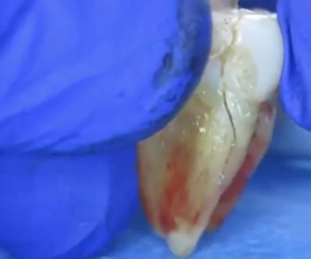 Dr. Jone Kim DDS