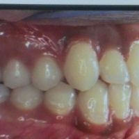 Rohani Ramin DDS ico
