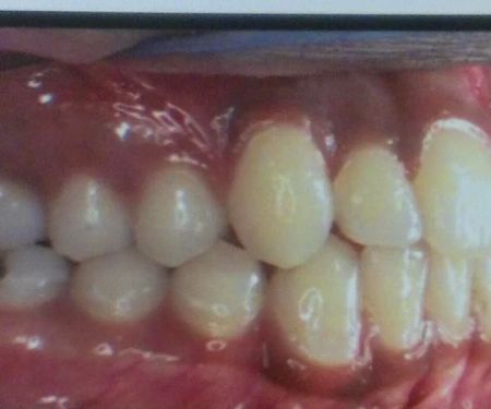 Rohani Ramin DDS