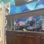 Montgomery Pediatric Dentistry & Family Orthodontics