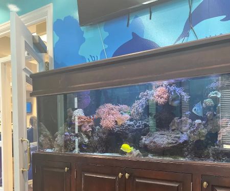 Montgomery Pediatric Dentistry & Family Orthodontics