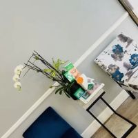 Sunshine Dental Care ico