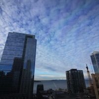 Seattle Smiles Dental ico