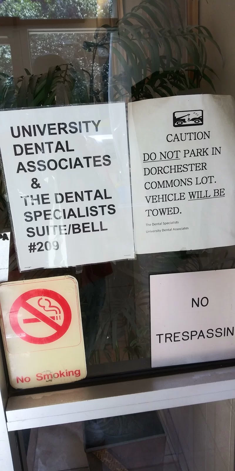 The Dental Specialists 7