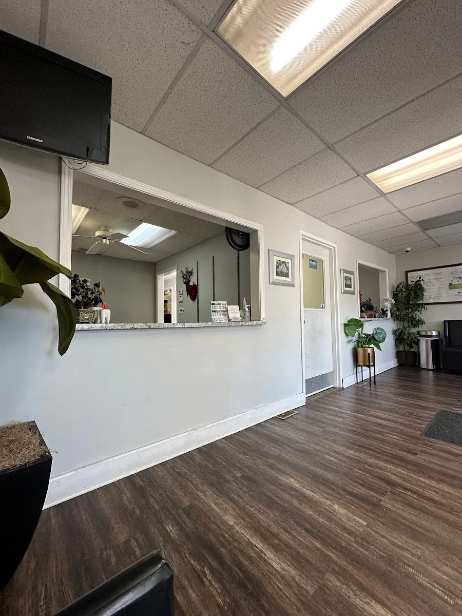 Cermak Dental Associates LLC 1