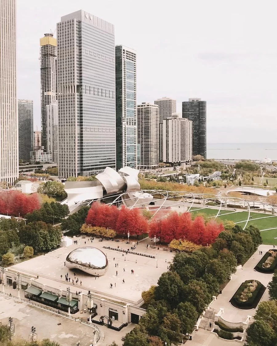 Dentistry at Millennium Park: Nanditha Ranganathan DDS 10