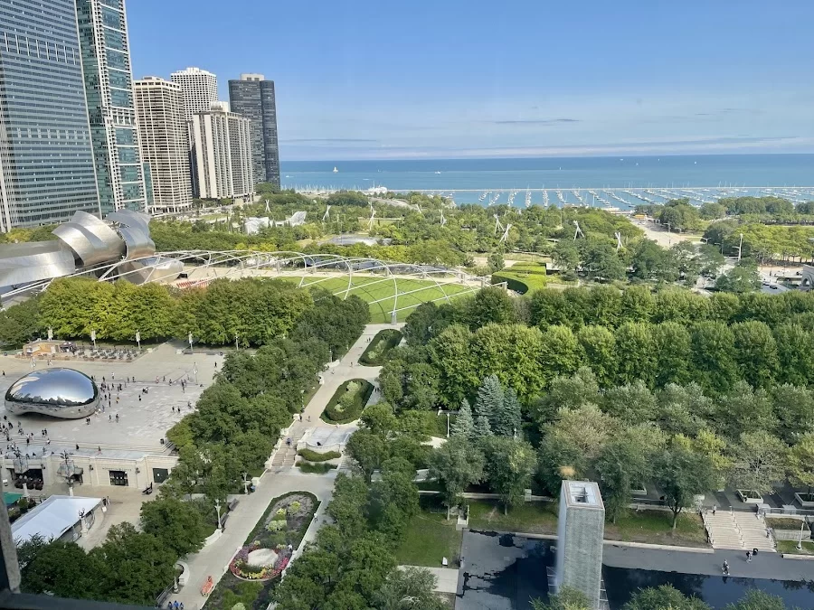 Dentistry at Millennium Park: Nanditha Ranganathan DDS 8