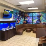 Smile Reef Pediatric Dentistry