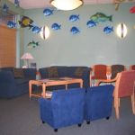 Raleigh Pediatric Dentistry