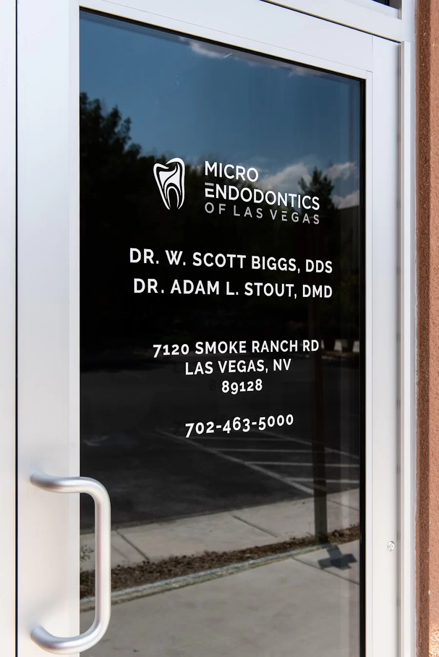 Micro Endodontics: W. Scott Biggs DDS 5