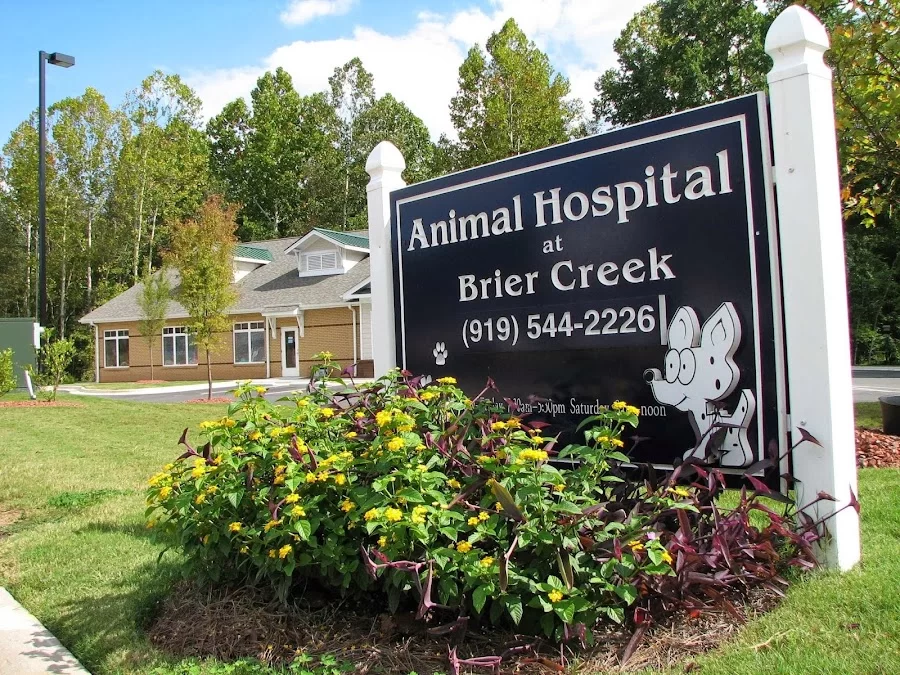 Animal Hospital at Brier Creek 7