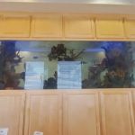 Four Seasons Dental Spa