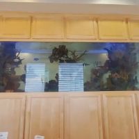 Four Seasons Dental Spa ico