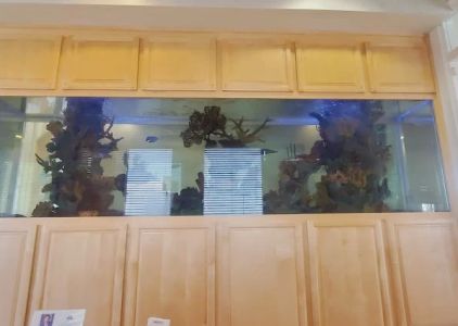 Four Seasons Dental Spa