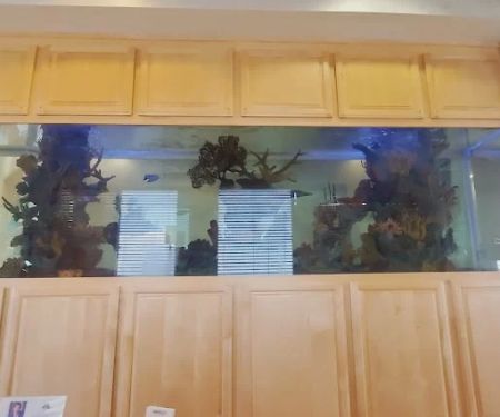 Four Seasons Dental Spa