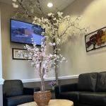 Brier Creek Smiles Dentistry
