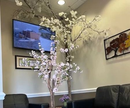 Brier Creek Smiles Dentistry