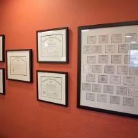 Ovation Orthodontics ico