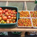 CCAP – Comprehensive Community Action Plan