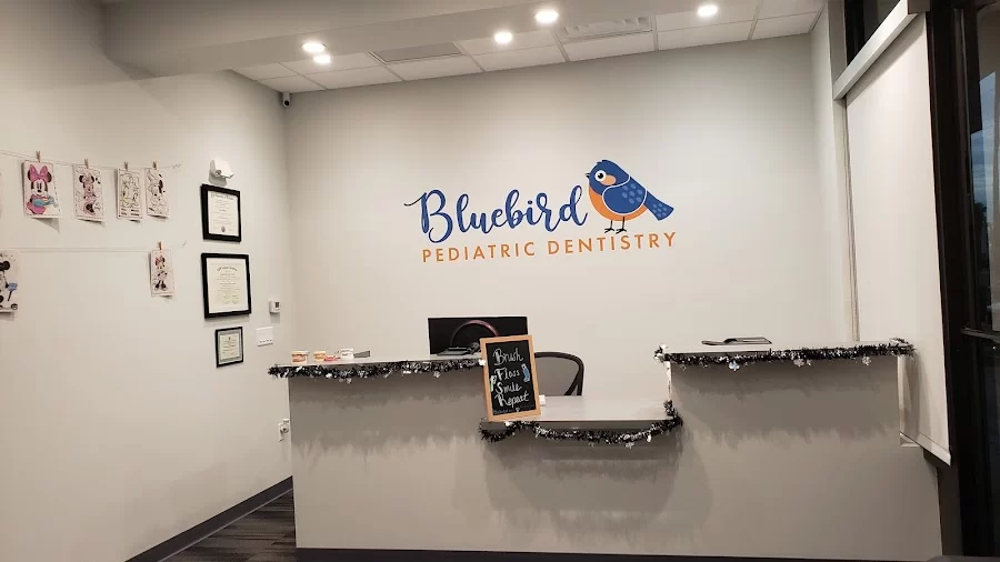 Bluebird Pediatric Dentistry 2