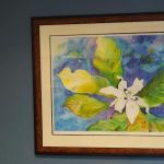 John Hopkins, DDS - Centre for Smile Designs