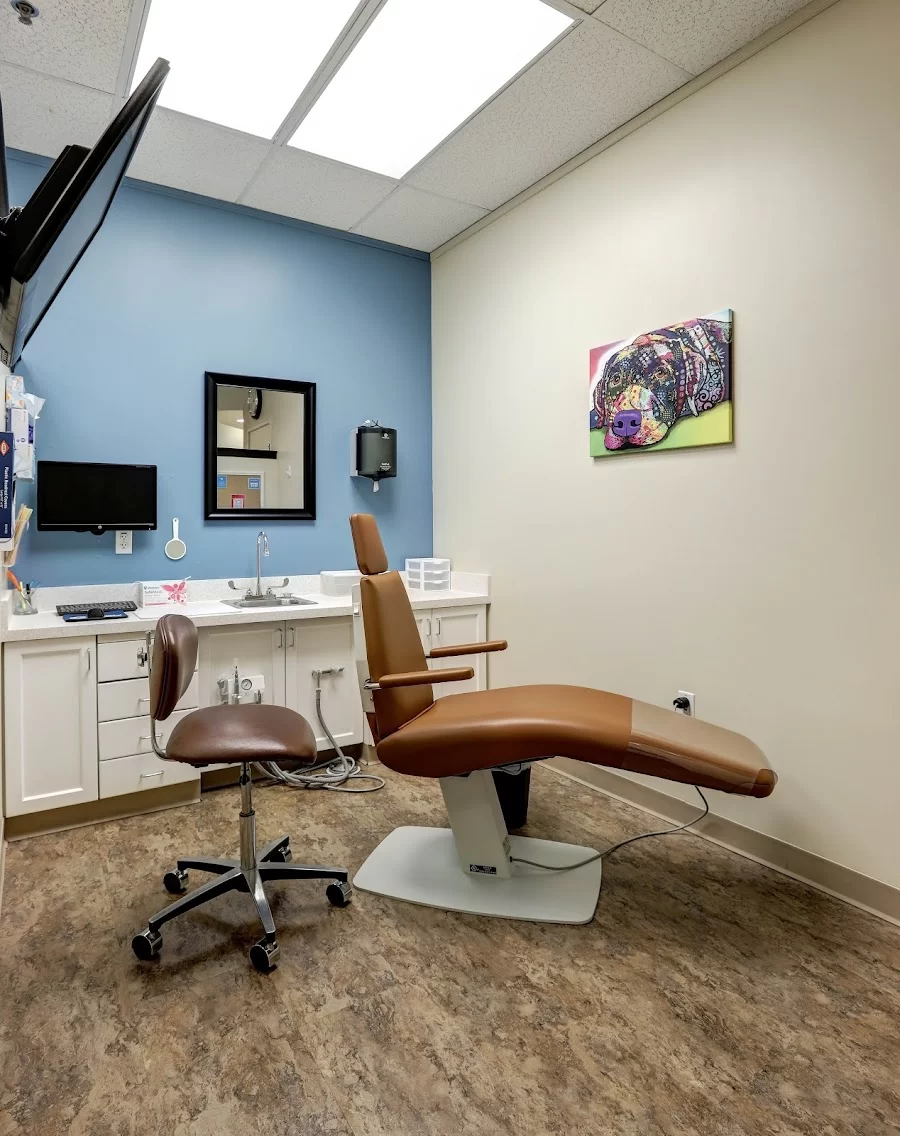 Glovsky Orthodontics 7