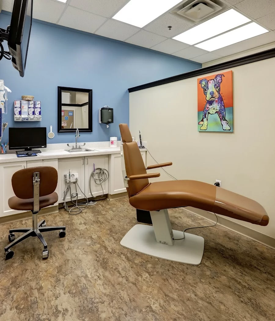 Glovsky Orthodontics 6