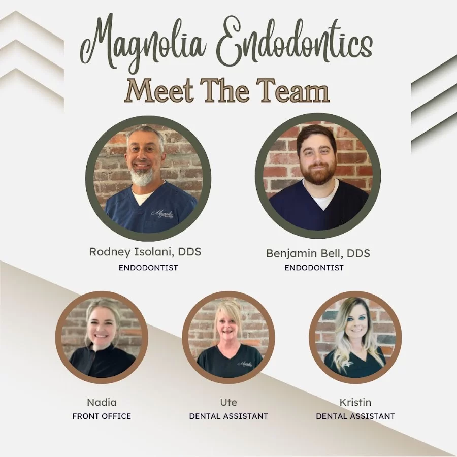 Magnolia Endodontics 5