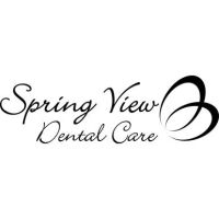 Spring View Dental Care ico