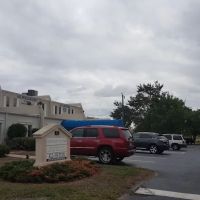 Art K. Molzan, DDS ico