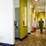 Artisan Dental, LLC