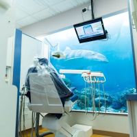 Dr. Sam Soltani, DDS ico
