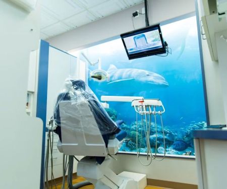 Dr. Sam Soltani, DDS