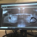 Clevemorse Family Dentistry