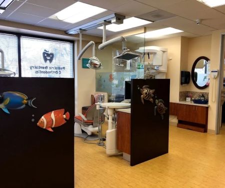 Rumack and Harmer Pediatric Dentistry